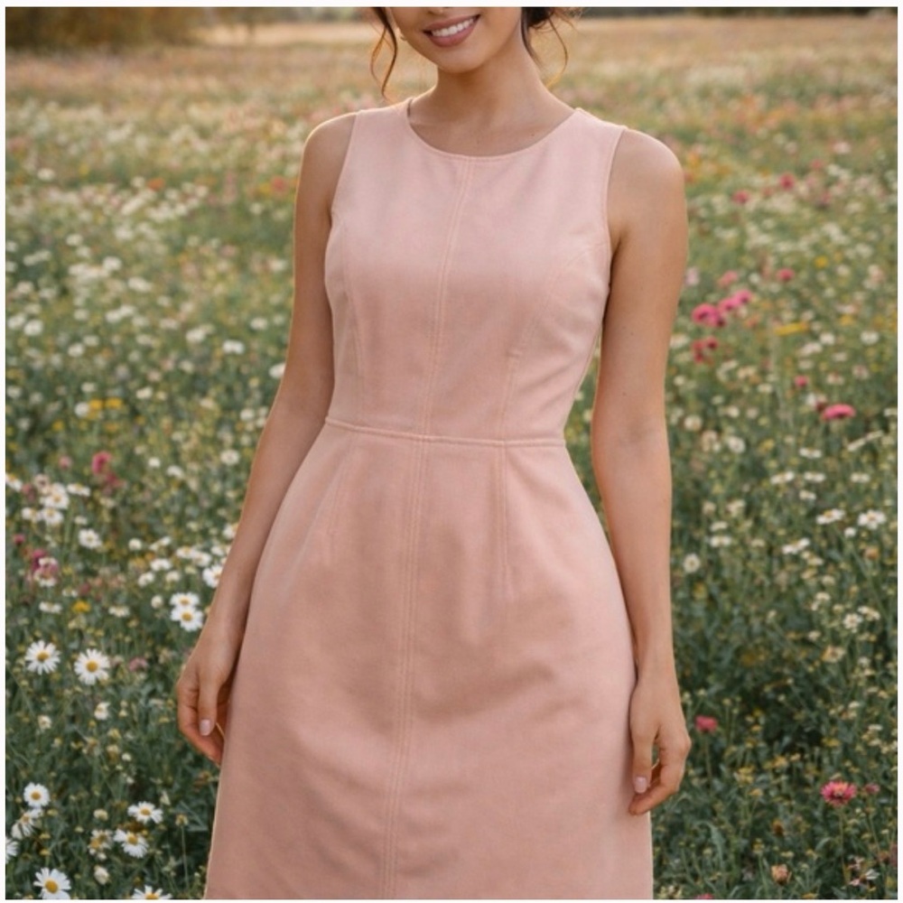 Banana Republic Blush Midi Dress